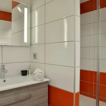 Renove Pres Des Pistes Avec Espace Bien-etre - Fr-1-181-1963 Appartement *